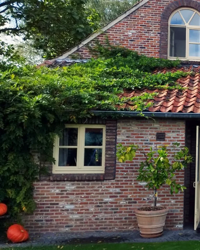 Vrijstaande woning met professioneel gerenoveerde houten ramen, voordeur en garagepoort.